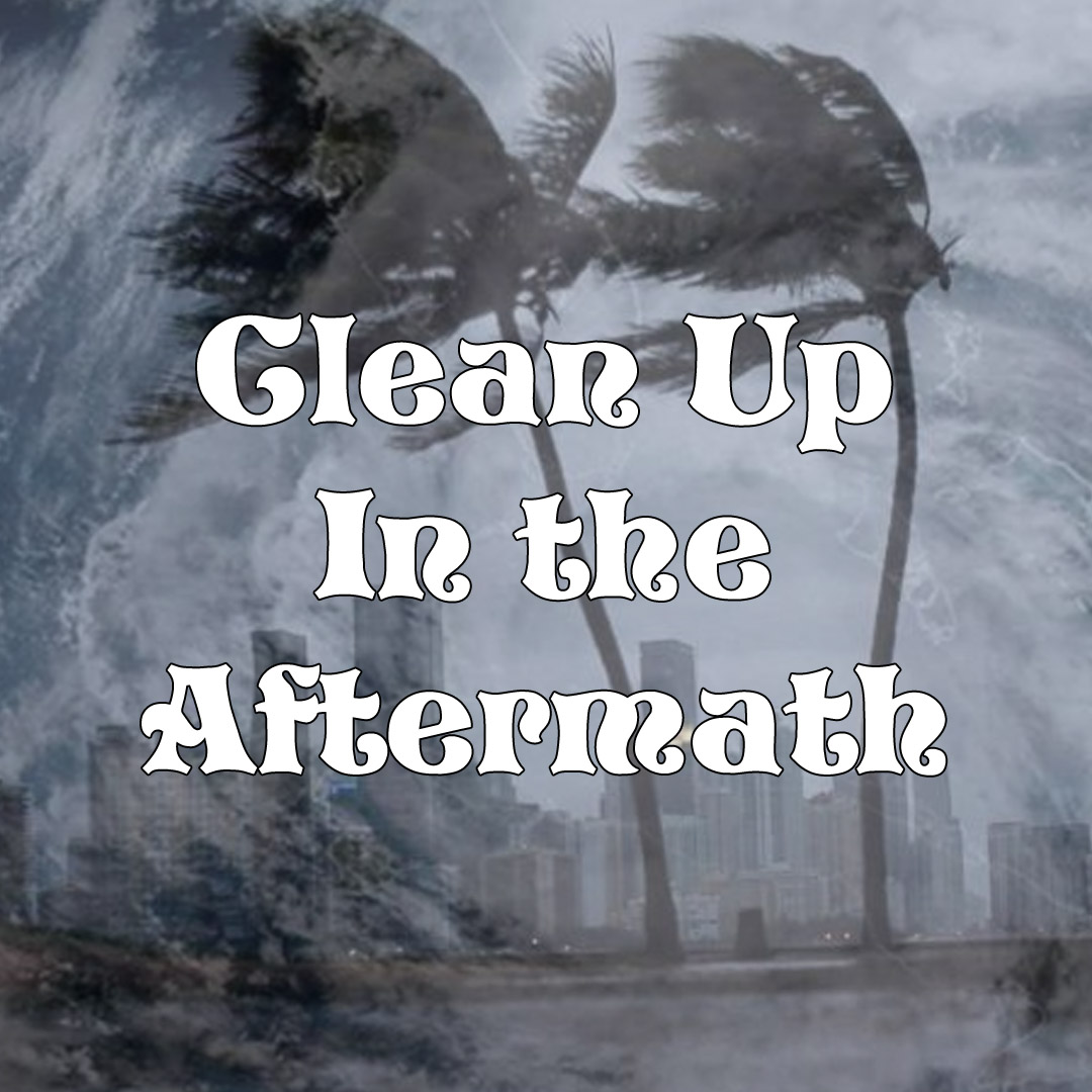 Clean Up in the Aftermath Page