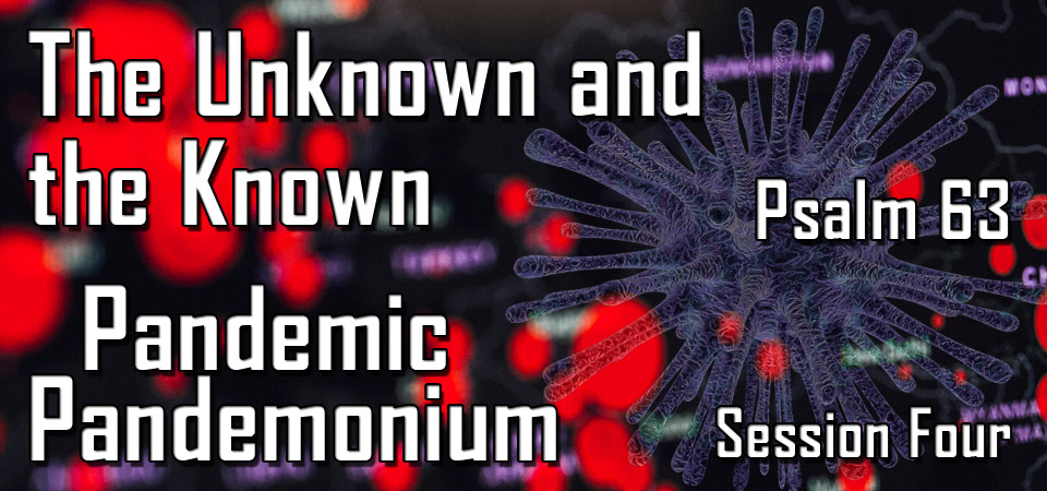 The Unknown and the Known – Pandemic Pandemonium (Session Four)