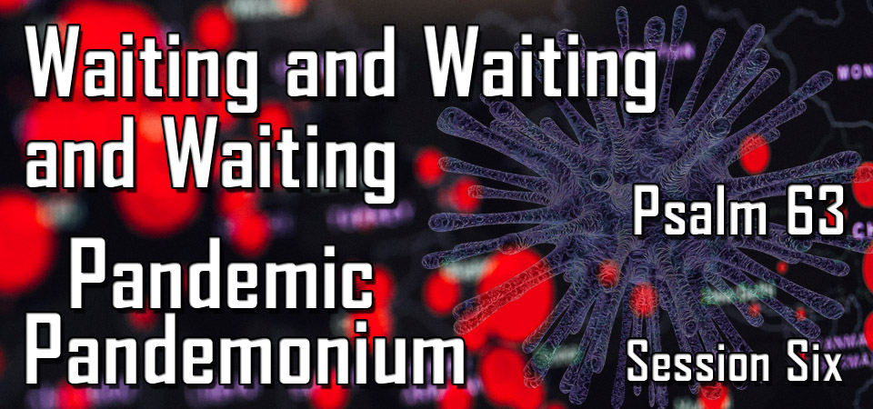 Waiting and Waiting and Waiting – Pandemic Pandemonium (Session Six)