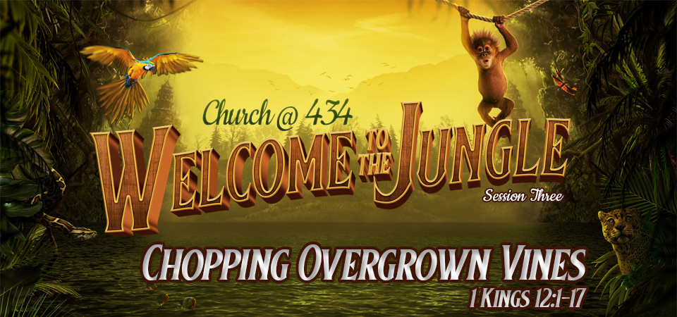 Chopping Overgrown Vines – Welcome to the Jungle (Session Three)