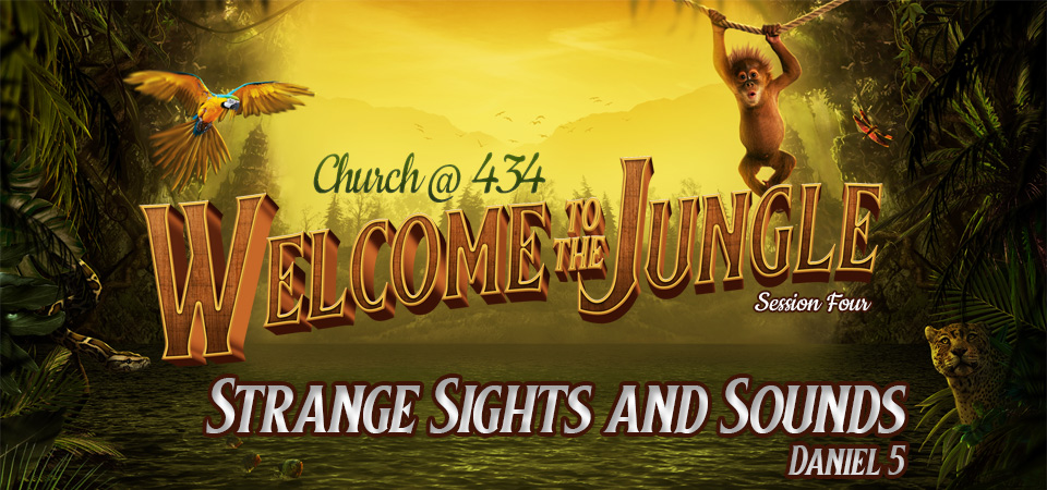 Strange Sights and Sounds – Welcome to the Jungle (Session Four)