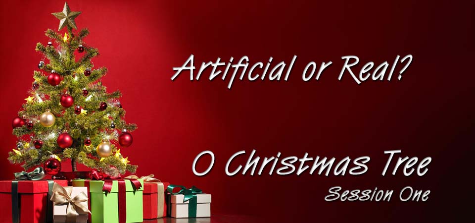 Artificial or Real? – O Christmas Tree (Session One)