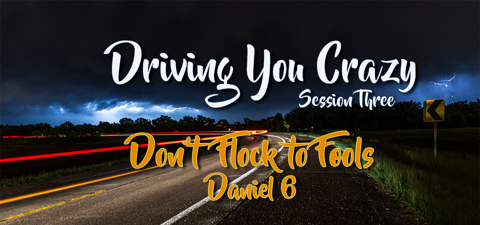 Don’t Flock to Fools – Driving You Crazy (Session Three)