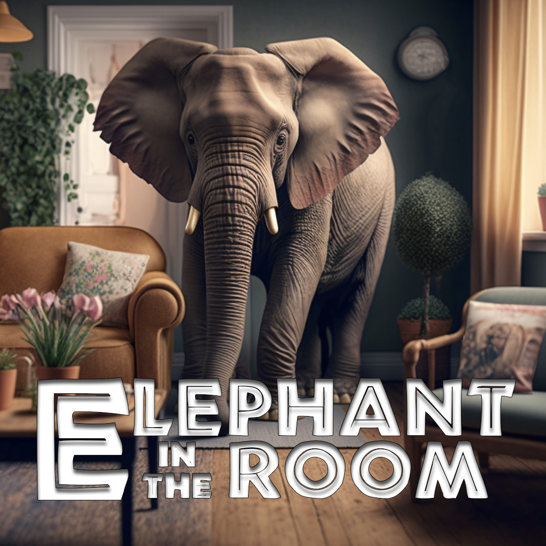 The Elephant in the Room Series