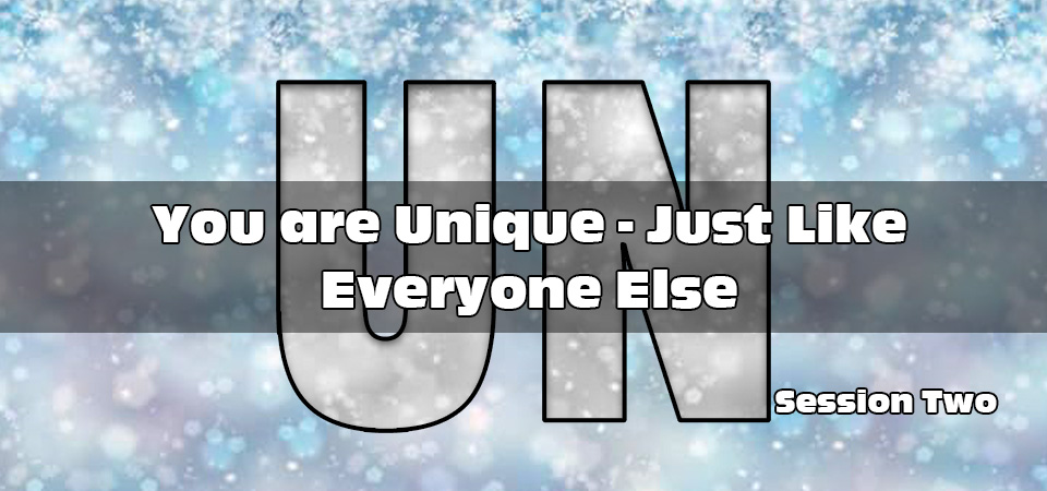 You are Unique – Just Like Everyone Else – UN (Session Two)