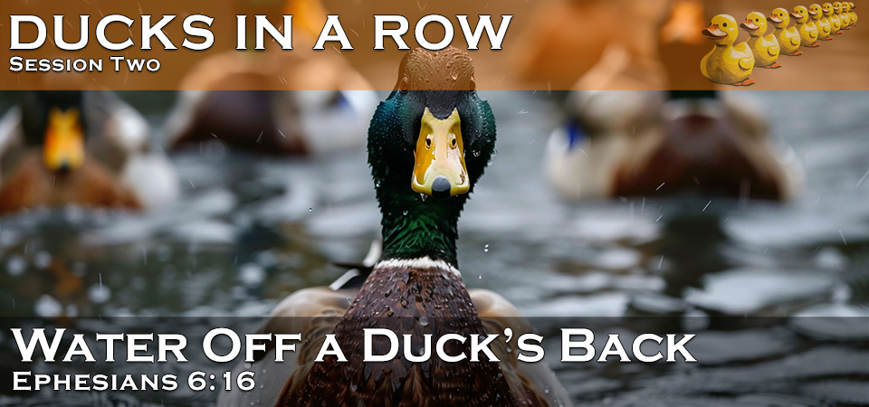 Water Off a Duck’s Back – Ducks in a Row (Session Two)