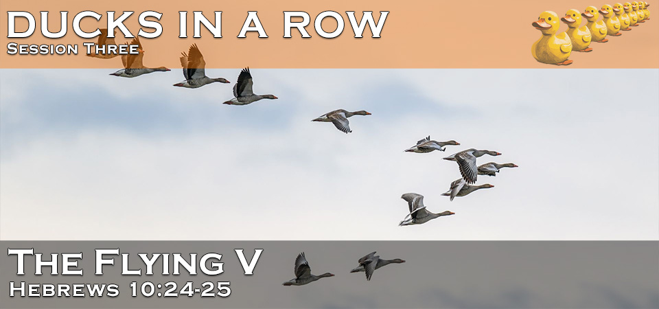 The Flying V – Ducks in a Row (Session Three)
