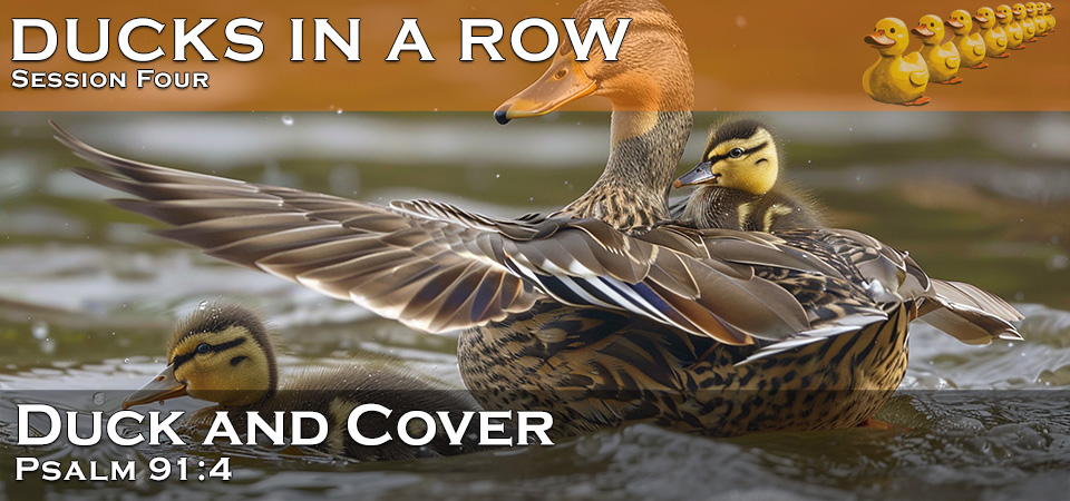 Duck and Cover – Ducks in a Row (Session Four)