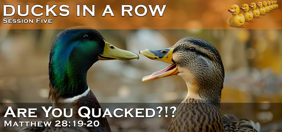 Are You Quacked?!? – Ducks in a Row (Session Five)