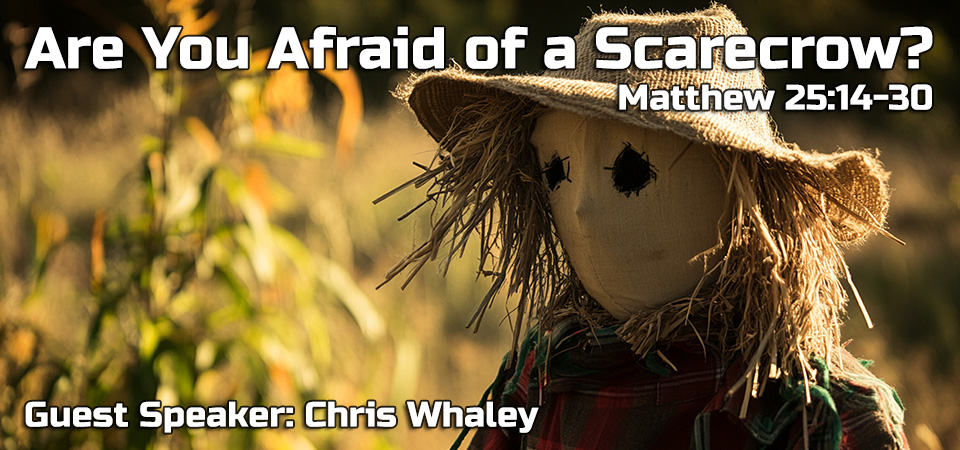 Are You Afraid of a Scarecrow?