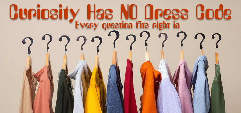 Curiosity Has NO Dress Code – Every question fits right in Series