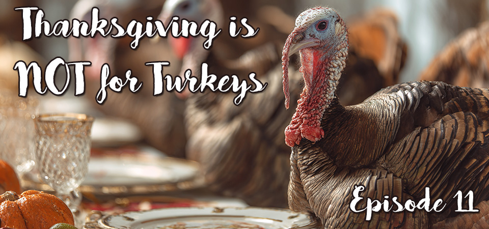 Thanksgiving is NOT for Turkeys (s1e11) – More Than Turkey & Pie: The Real Reason for Thanksgiving