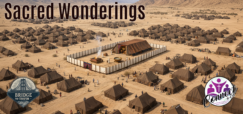Sacred Wonderings Series